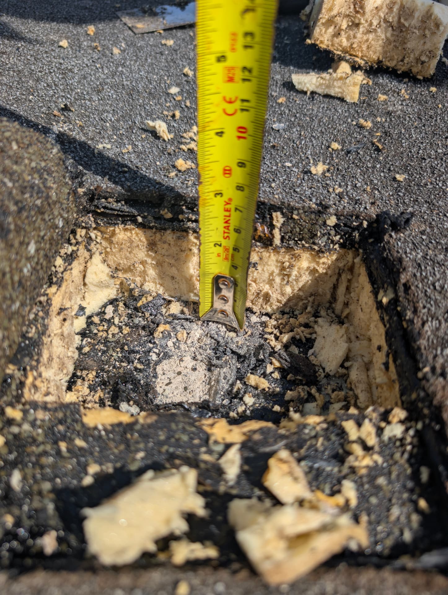 Core samples taken through a flat roof build-up, showing saturated insulation beneath the waterproofing