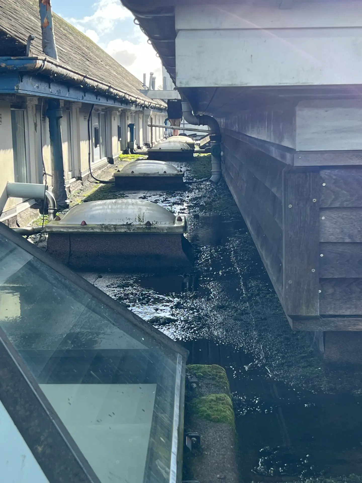 Rooflights, pipework and tight perimeter details on a commercial flat roof
