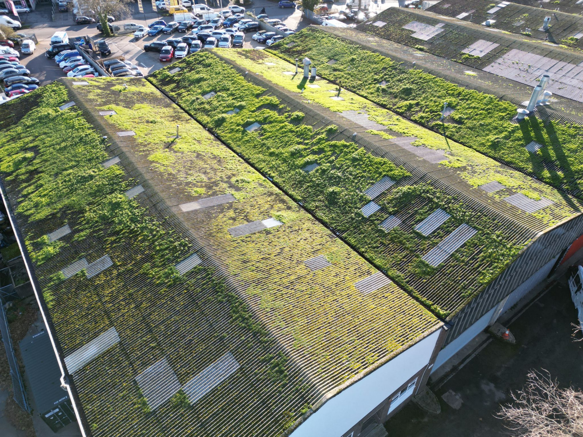 Aerial view of a profiled metal roof heavily colonised by moss and vegetation