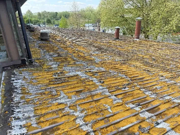 Cut-Edge Corrosion Treatment roof coating systems system installed by TRS on a UK commercial building